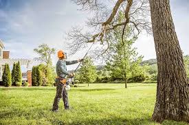 How Our Tree Care Process Works  in  Apple Mountain Lake, VA